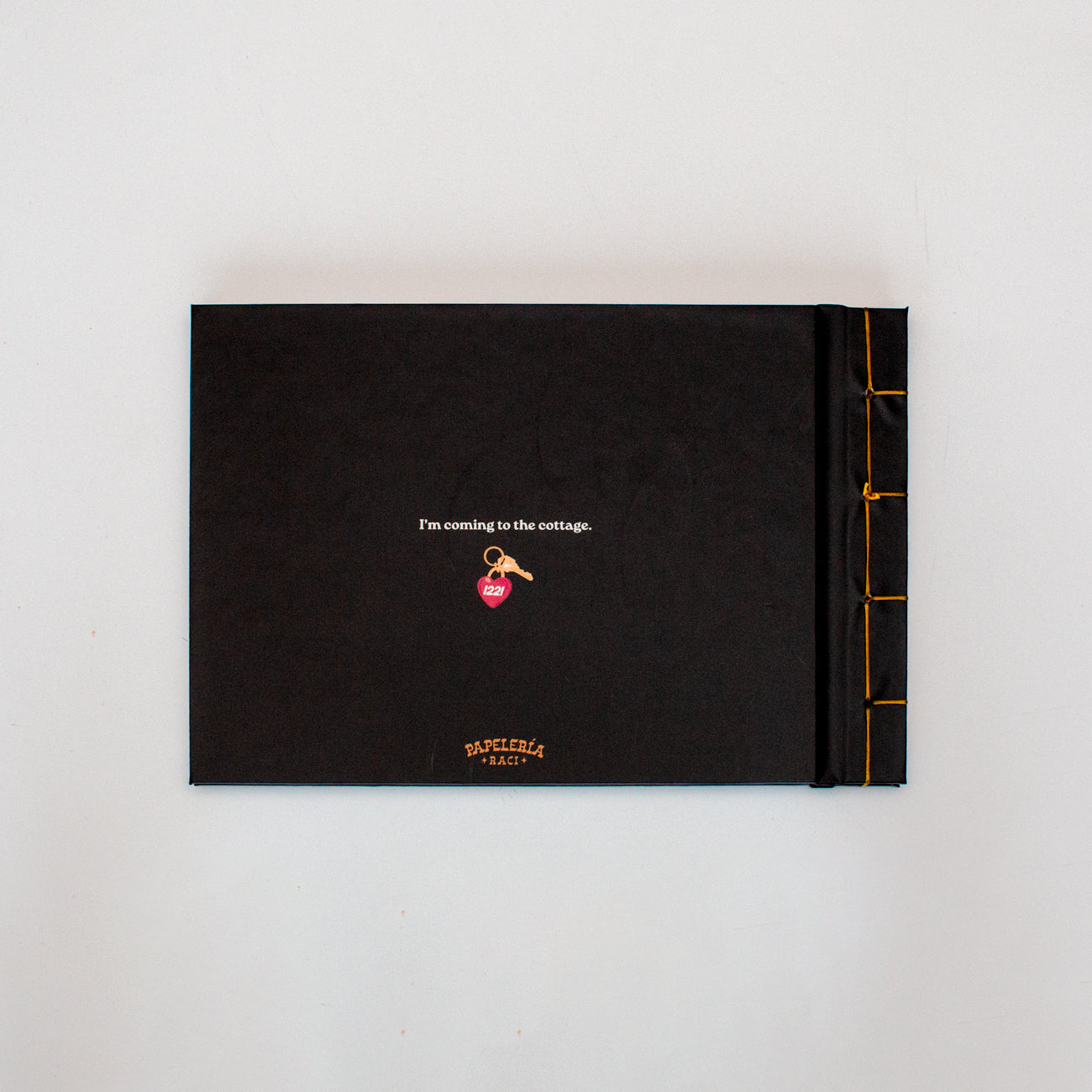 Ilya Stab Binding Journal