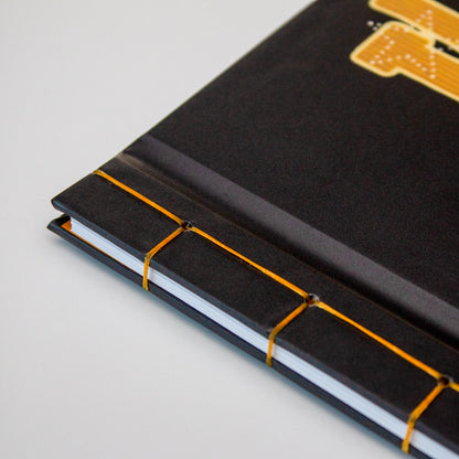 Ilya Stab Binding Journal